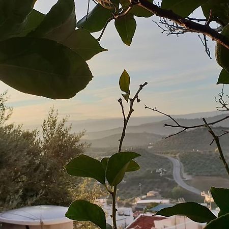 Mirador Del Olivar โอลเวรา ภายนอก รูปภาพ
