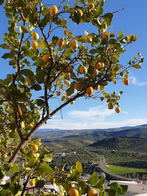 Mirador Del Olivar โอลเวรา ภายนอก รูปภาพ