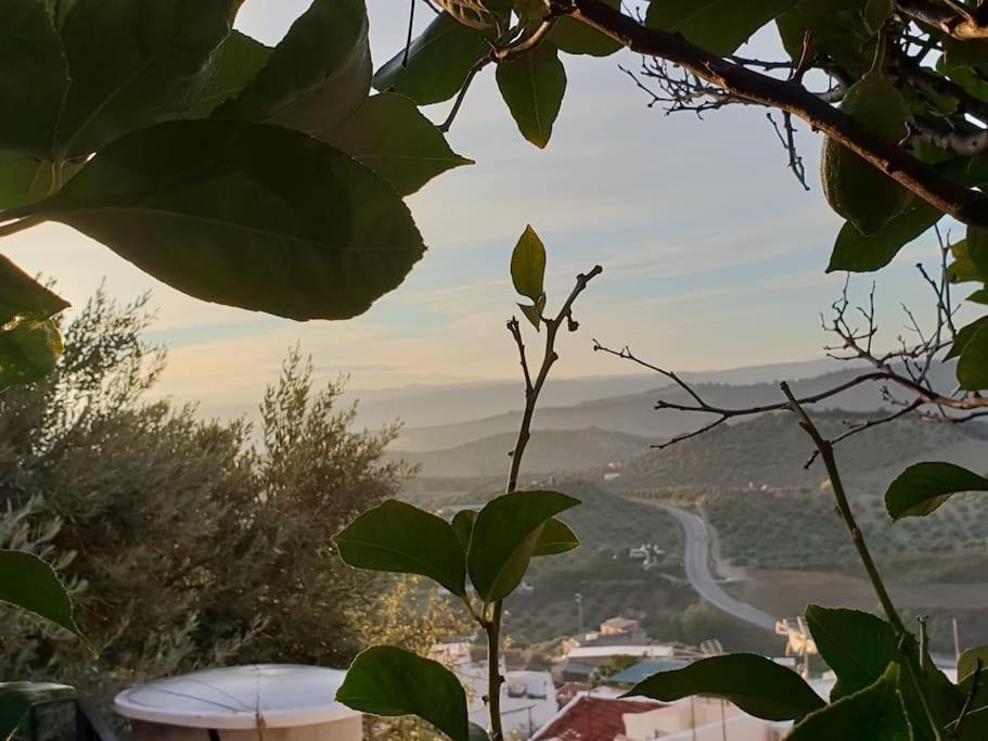 Mirador Del Olivar โอลเวรา ภายนอก รูปภาพ