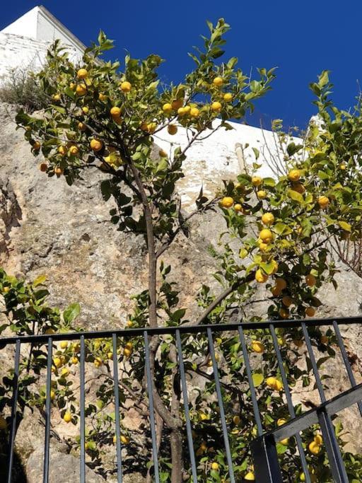 Mirador Del Olivar โอลเวรา ภายนอก รูปภาพ